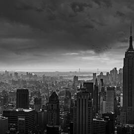- Manhattan Nyc - by Wim Schuurmans
