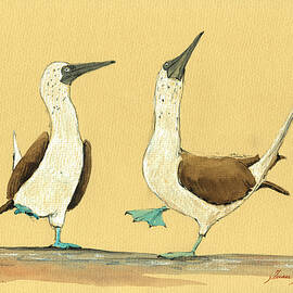 Blue footed boobies by Juan  Bosco