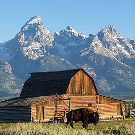 John Moulton Historic Barn, Grand Teton by Peter Adams