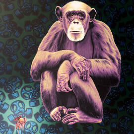APE by Stephen Hall