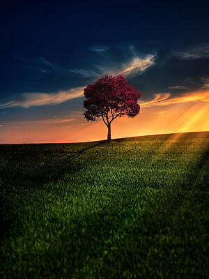 Sunset Posters for Sale