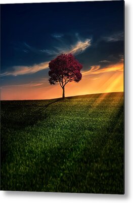 Sunset Metal Prints for Sale