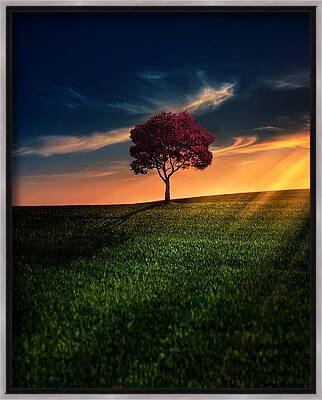 Sunset Framed Canvas Prints for Sale