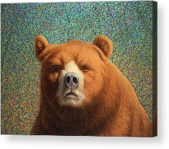 Animals Acrylic Prints for Sale