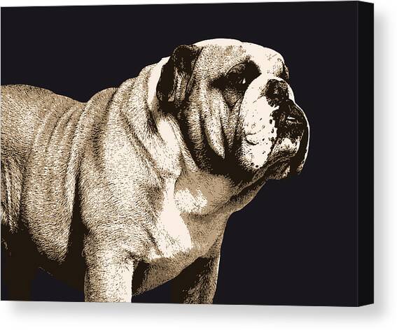 Bulldog Spirit Canvas Art Print by Michael Tompsett