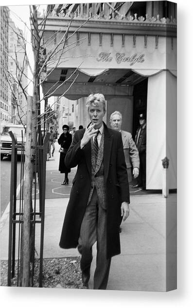 David Bowie Canvas Art Print by Art Zelin