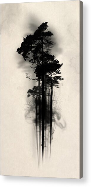 Enchanted Forest Acrylic Print
