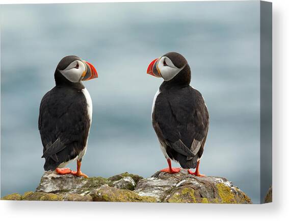 I Love You - I Love You Too Canvas Art Print by Milan Zygmunt