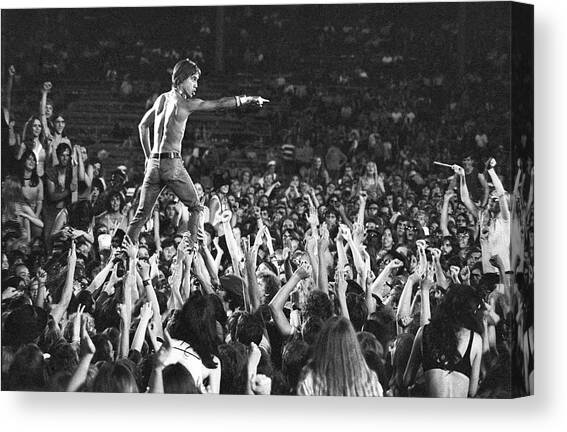 Iggy Pop Live Canvas Art Print by Tom Copi