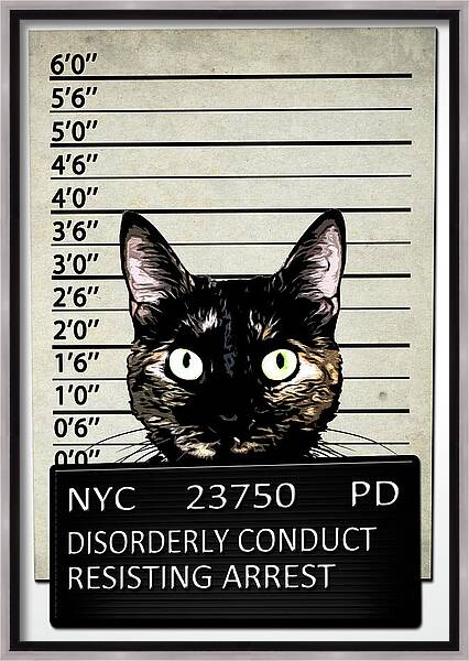 Kitty Mugshot Framed Canvas Print