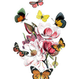Magnolia with butterflies by Madame Memento