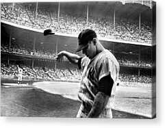 Sports Acrylic Prints for Sale