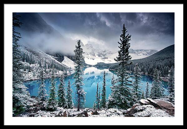 Morning Blues Framed Print