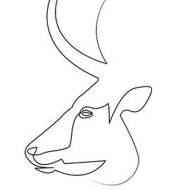 oneline Bull by Quibe Sarl