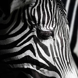 Overlap Of Stripes by Takashi Suzuki