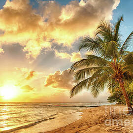 Sunset in a tropical beach in the Caribbean by Thomas Jones