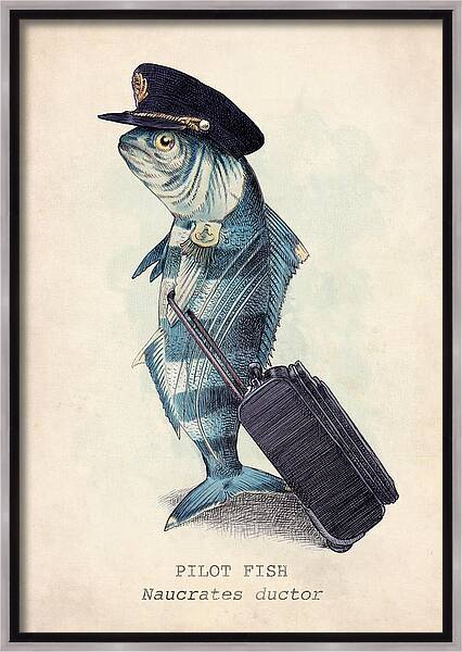 The Pilot Framed Canvas Print