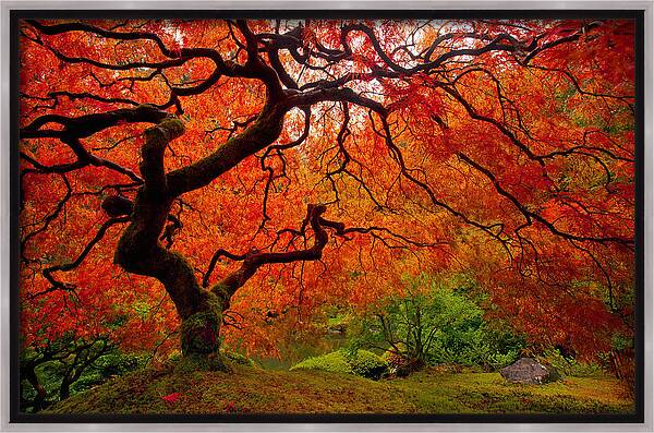 Tree Fire Framed Canvas Print