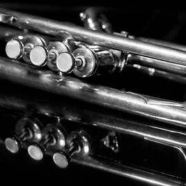 Valves by Dan Holm
