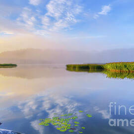 Wonderful morning III by Veikko Suikkanen